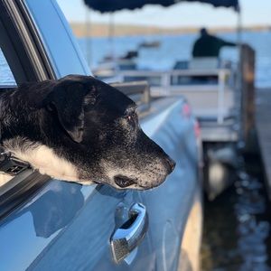 Meet your Posher, Roger